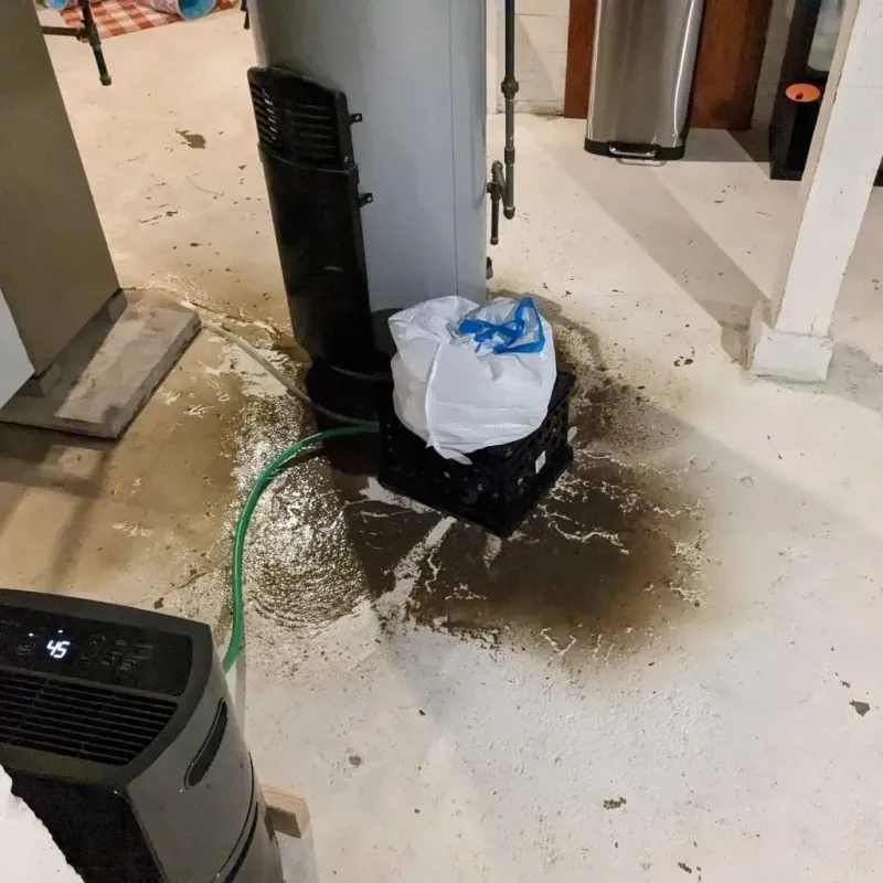 Sewage Backup Cleanup Service in Arthur County, NE